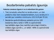 Prezentācija 'Budžeta iestādes salīdzinājums divās valstīs. Sociālās apdrošināšanas aģentūra ', 13.
