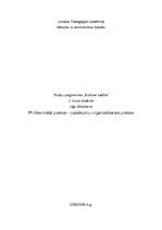 Prakses atskaite 'Profesionālā prakse - kultūras pasākumu organizēšana - Liepājas 381 gada jubilej', 1.