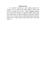 Prakses atskaite 'Profesionālā prakse - kultūras pasākumu organizēšana - Liepājas 381 gada jubilej', 14.