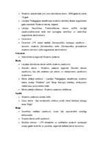 Prakses atskaite 'Profesionālā prakse - kultūras pasākumu organizēšana - Liepājas 381 gada jubilej', 18.