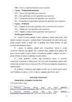 Konspekts 'Eksporta mārketinga plānošana un stratēģija. Eksporta cenu noteikšanas stratēģij', 5.