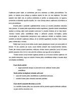 Biznesa plāns 'Atpūtas bāze', 3.