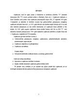 Prakses atskaite 'Kvalifikācijas prakses atskaite grāmatvedībā', 3.