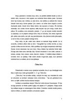 Referāts 'Seno maiju civilizācija', 7.