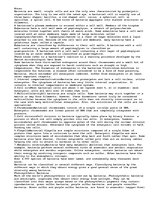 Eseja 'All about Bacteria', 1.