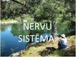 Prezentācija 'Nervu sistēma', 1.