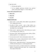 Referāts 'Restorāna koncepts', 11.