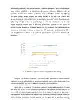 Referāts 'Restorāna koncepts', 13.