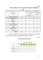 Referāts 'Restorāna koncepts', 33.