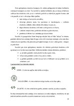 Referāts 'Restorāna koncepts', 34.