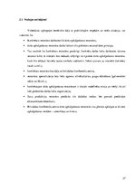 Referāts 'Restorāna koncepts', 37.