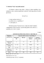 Referāts 'Restorāna koncepts', 44.