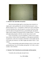 Referāts 'Restorāna koncepts', 57.