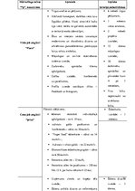 Referāts 'Restorāna koncepts', 74.