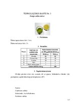 Referāts 'Restorāna koncepts', 117.