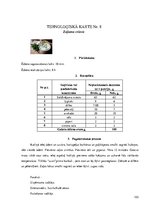 Referāts 'Restorāna koncepts', 123.