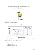 Referāts 'Restorāna koncepts', 127.