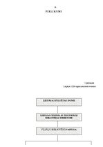 Prakses atskaite 'Bibliotēkas darba vadīšana un organizēšana', 38.