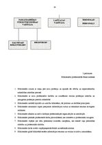 Prakses atskaite 'Bibliotēkas darba vadīšana un organizēšana', 39.