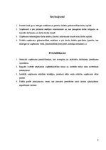 Paraugs 'Prakses atskaite grāmatvedim', 9.