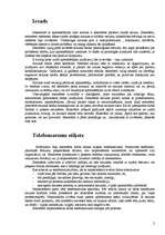 Referāts 'Runas kultūra', 2.