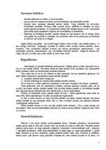 Referāts 'Runas kultūra', 5.