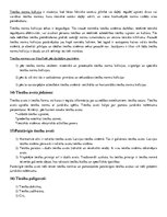 Konspekts 'Tiesību teorija', 6.