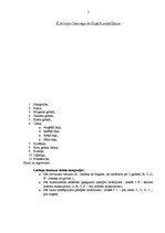 Referāts 'Liellopa liemeņa kulinārā sadale', 5.