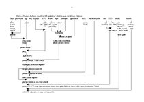 Referāts 'Liellopa liemeņa kulinārā sadale', 9.