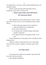 Prakses atskaite 'SIA "Indriķis" prakses atskaite', 11.