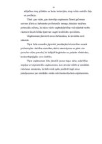 Prakses atskaite 'SIA "Indriķis" prakses atskaite', 17.