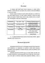 Referāts 'Renesanses glezniecība', 3.