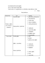 Diplomdarbs 'Rotaļu un sadzīves praktisko darbību izmantošana 2-3 gadus vecu bērnu runas attī', 28.