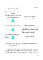 Diplomdarbs 'Rotaļu un sadzīves praktisko darbību izmantošana 2-3 gadus vecu bērnu runas attī', 33.