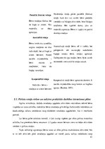 Diplomdarbs 'Rotaļu un sadzīves praktisko darbību izmantošana 2-3 gadus vecu bērnu runas attī', 41.