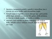 Prezentācija 'Interesanti fakti par alkoholu', 13.