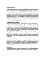 Konspekts 'Anēmijas', 17.