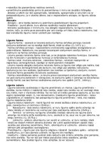 Konspekts 'Pārskatāms Torgāna grāmatas konspekts Saistību tiesībās', 4.