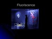 Prezentācija 'Luminiscence', 10.