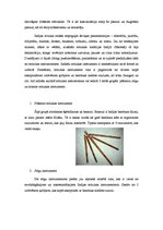 Konspekts 'Indiešu un latviešu mūzikas instrumentu salīdzinājums', 4.