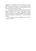 Eseja 'Enerģētika Eiropas Savienībā un Latvijā', 2.