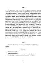 Referāts 'Jogurti', 3.