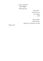 Biznesa plāns 'Mārketinga plāns. SIA "Cīruļi"', 1.