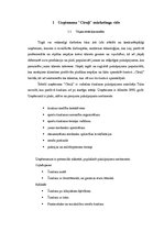 Biznesa plāns 'Mārketinga plāns. SIA "Cīruļi"', 7.