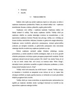 Biznesa plāns 'Mārketinga plāns. SIA "Cīruļi"', 8.