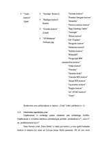 Biznesa plāns 'Mārketinga plāns. SIA "Cīruļi"', 11.