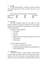 Biznesa plāns 'Mārketinga plāns. SIA "Cīruļi"', 22.