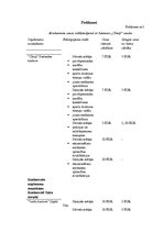 Biznesa plāns 'Mārketinga plāns. SIA "Cīruļi"', 29.