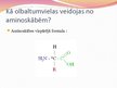 Prezentācija 'Olbaltumvielas - proteīni', 3.