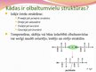 Prezentācija 'Olbaltumvielas - proteīni', 7.
